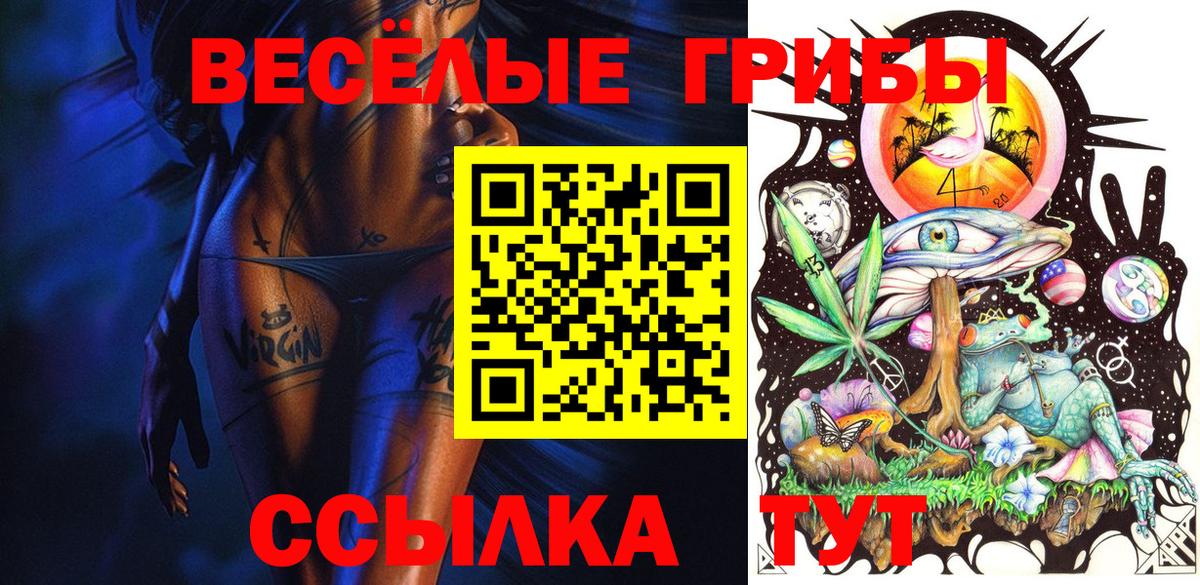 Псилоцибиновые грибы Magic Shrooms Вичуга