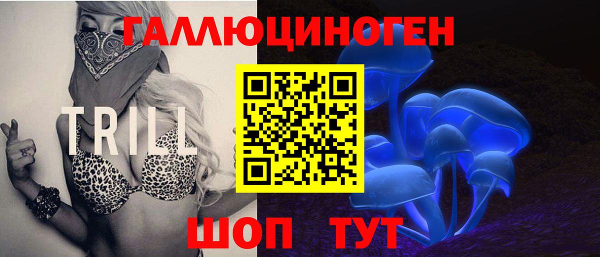 Вичуга  Галлюциногенные грибы Psilocybine cubensis  Вход с VPN 